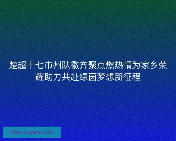 楚超十七市州队徽齐聚点燃热情为家乡荣耀助力共赴绿茵梦想新征程